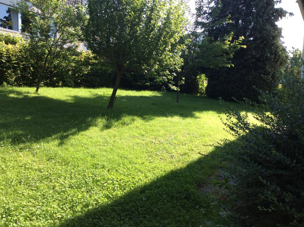 Haus Hunsrueckhoehe Schauren  Esterno foto
